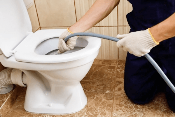 Plumber unblocking toilet with drain snake to remove blockage and health risks