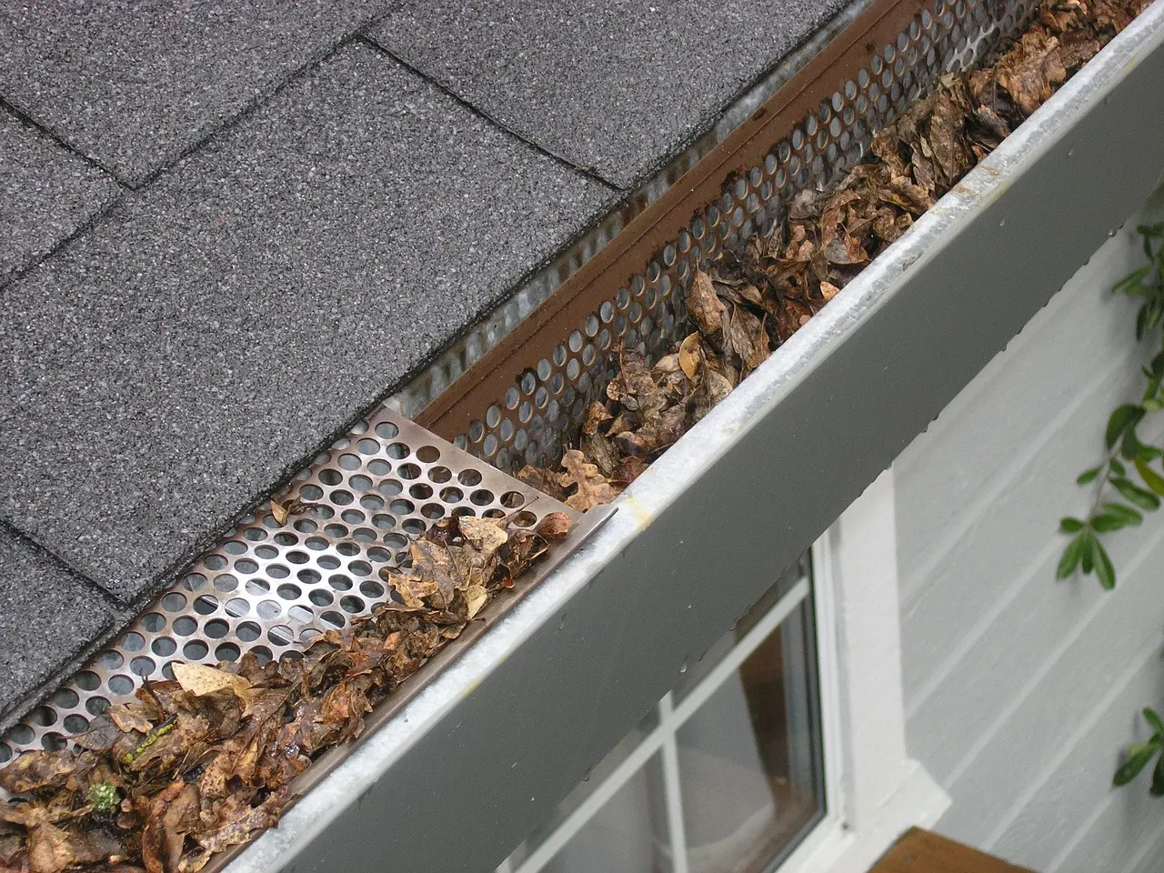 Old roof gutter clogged with leaves and need replacement